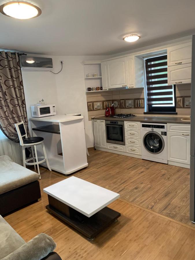 Apartament Micsunelelor Cu Parcare Privata Ιάσιο Εξωτερικό φωτογραφία